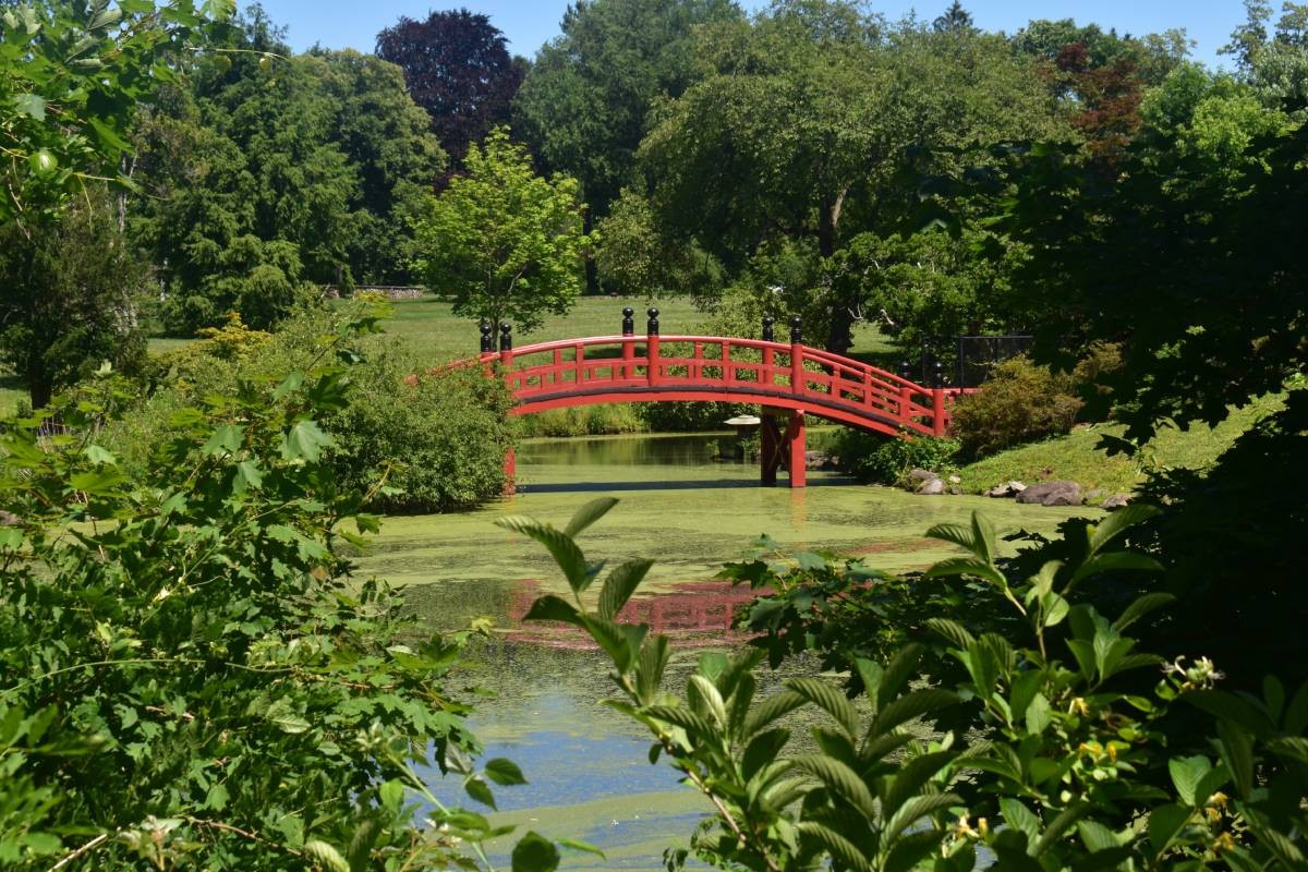 Wooden bridge at Duke Farm near Hillsborough, New Jersey (NJ)