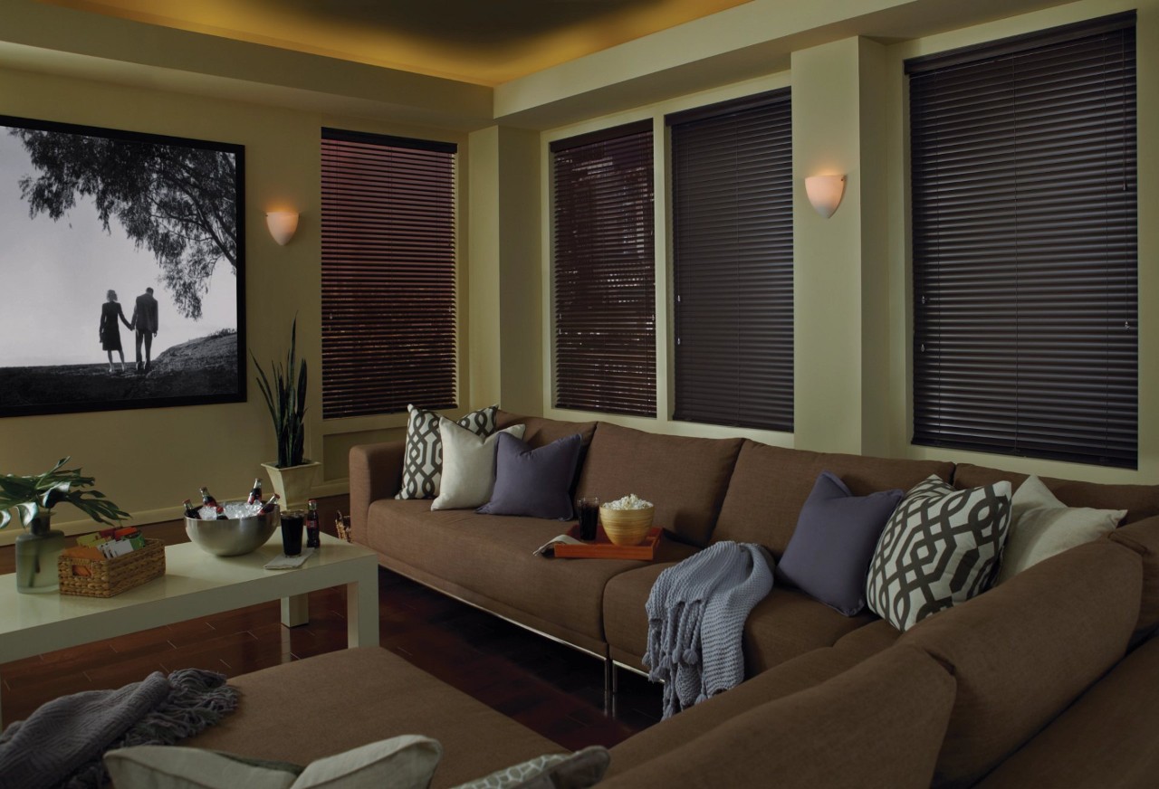 Hunter Douglas Modern Precious Metals® Mini blinds, living room, near Hillsborough and Princeton, New Jersey (NY)