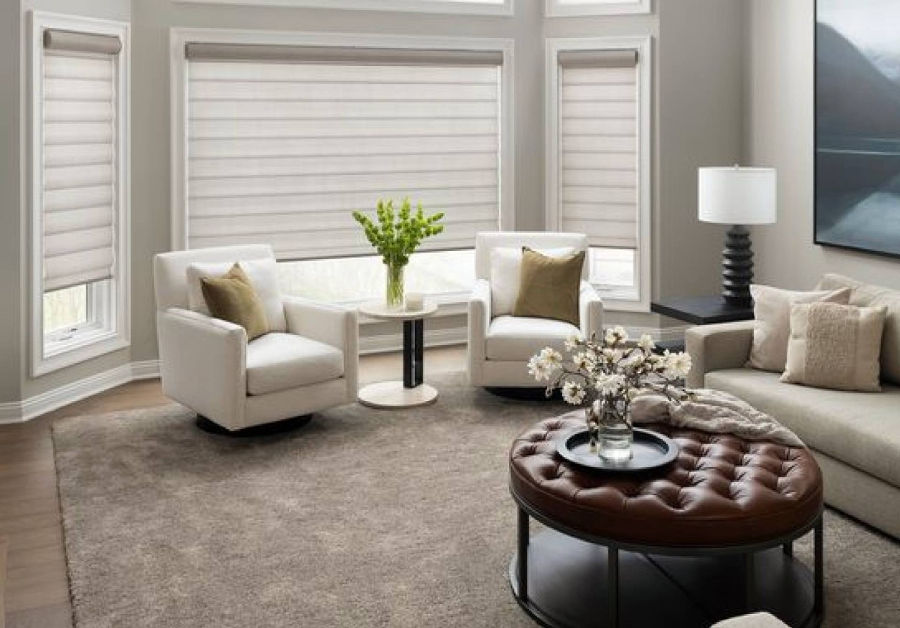 Hunter Douglas Pirouette® Sheer Shades near Princeton and Hillsborough, New Jersey (NJ)