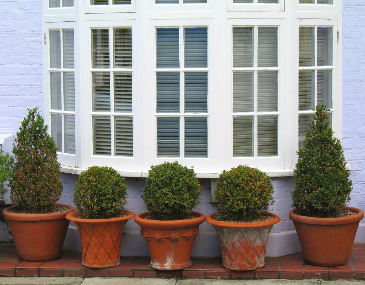 Beautiful bow windows with custom window treatments and five potted plants lining the window outside at Window Accents & Flooring near Princeton, NJ
