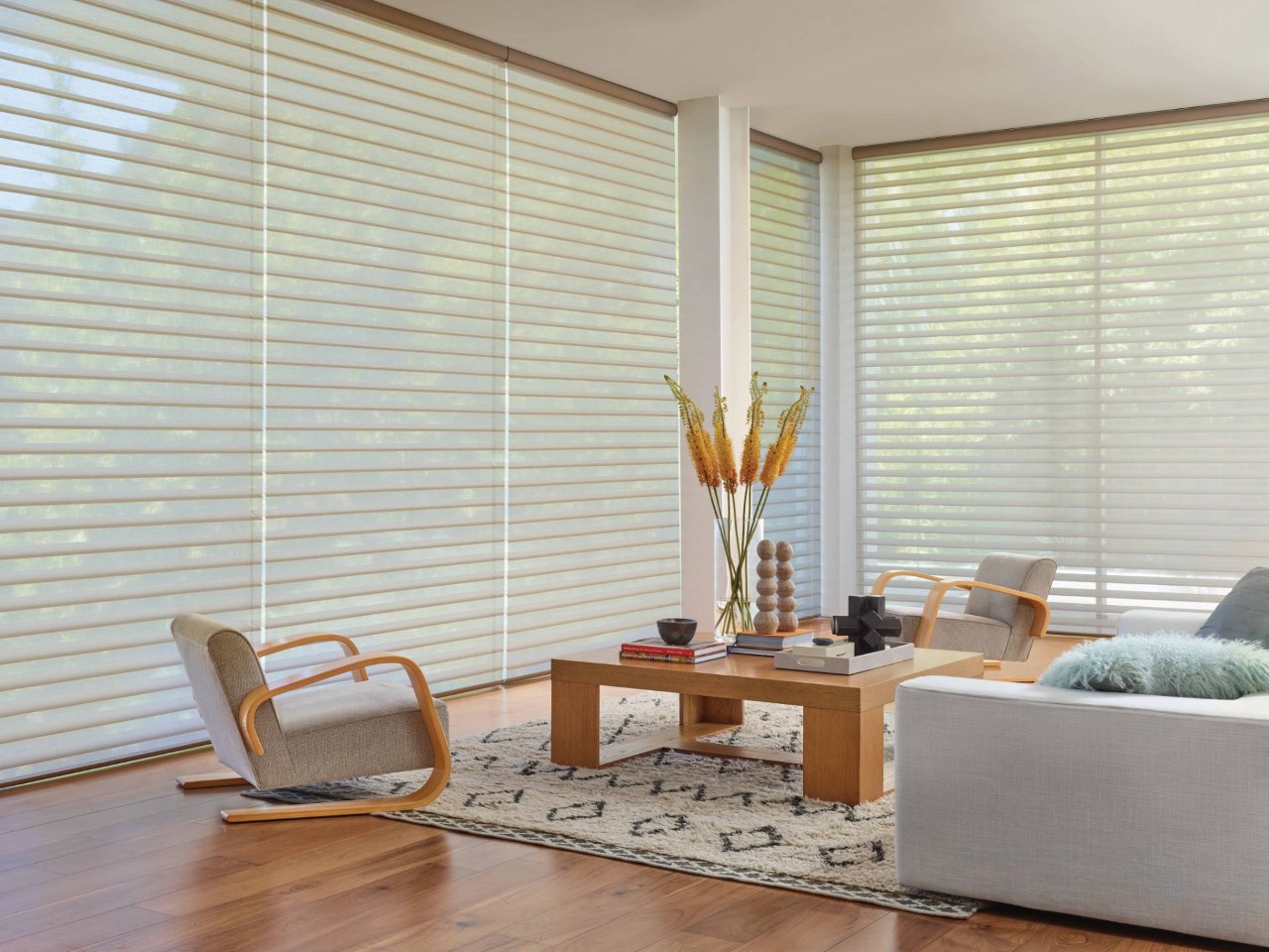 Hunter Douglas motorized shades near Princeton & Hillsborough, NJ