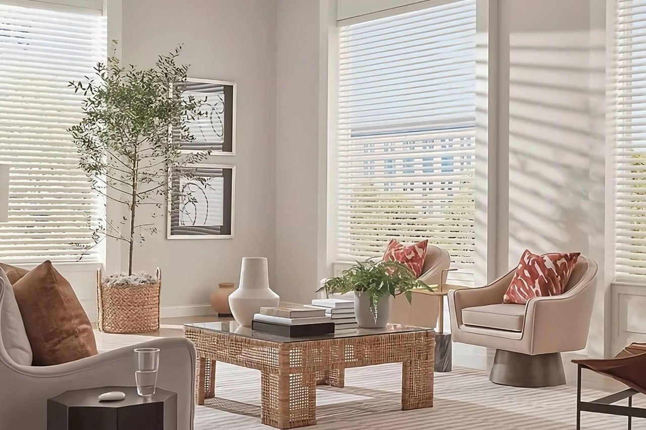 Chic Hunter Douglas Aria™ Fabric Blinds in a well-decorated living room with a neutral color palette near Princeton, New Jersey